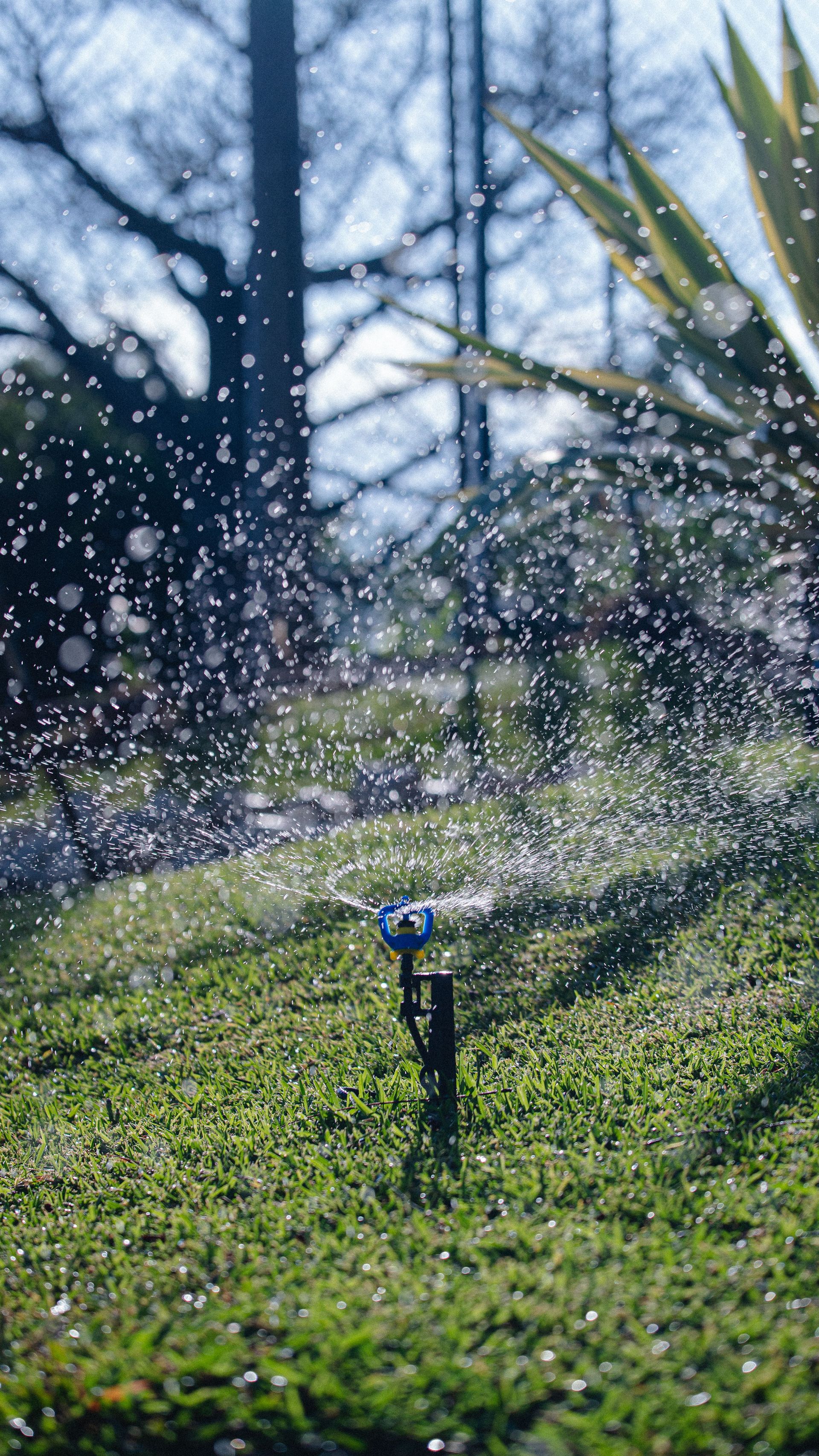 A garden sprinkler dispersing water, creating a refreshing scene in a grassy yard.