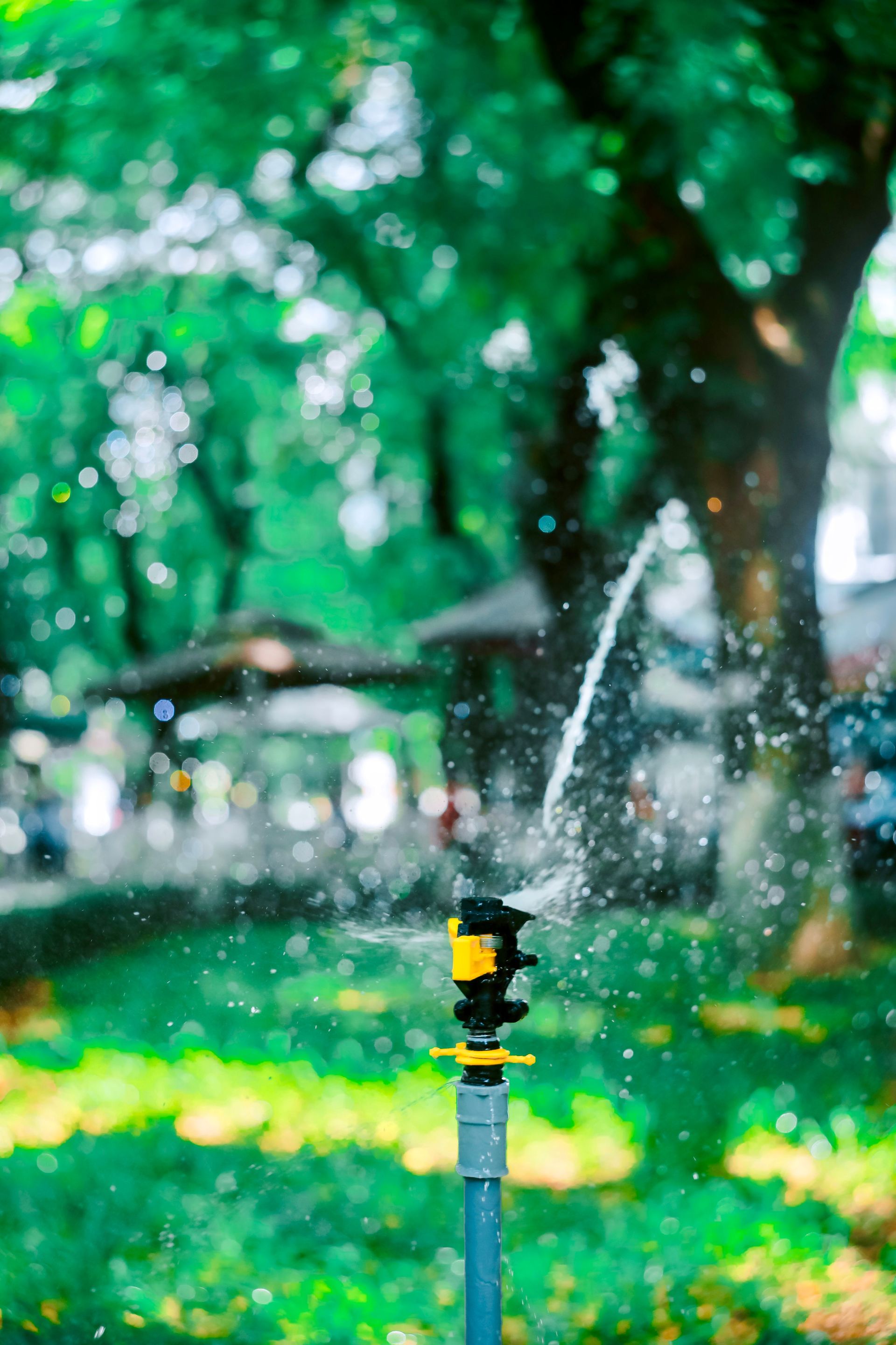 A garden sprinkler sprays water in a lush green park on a sunny day.