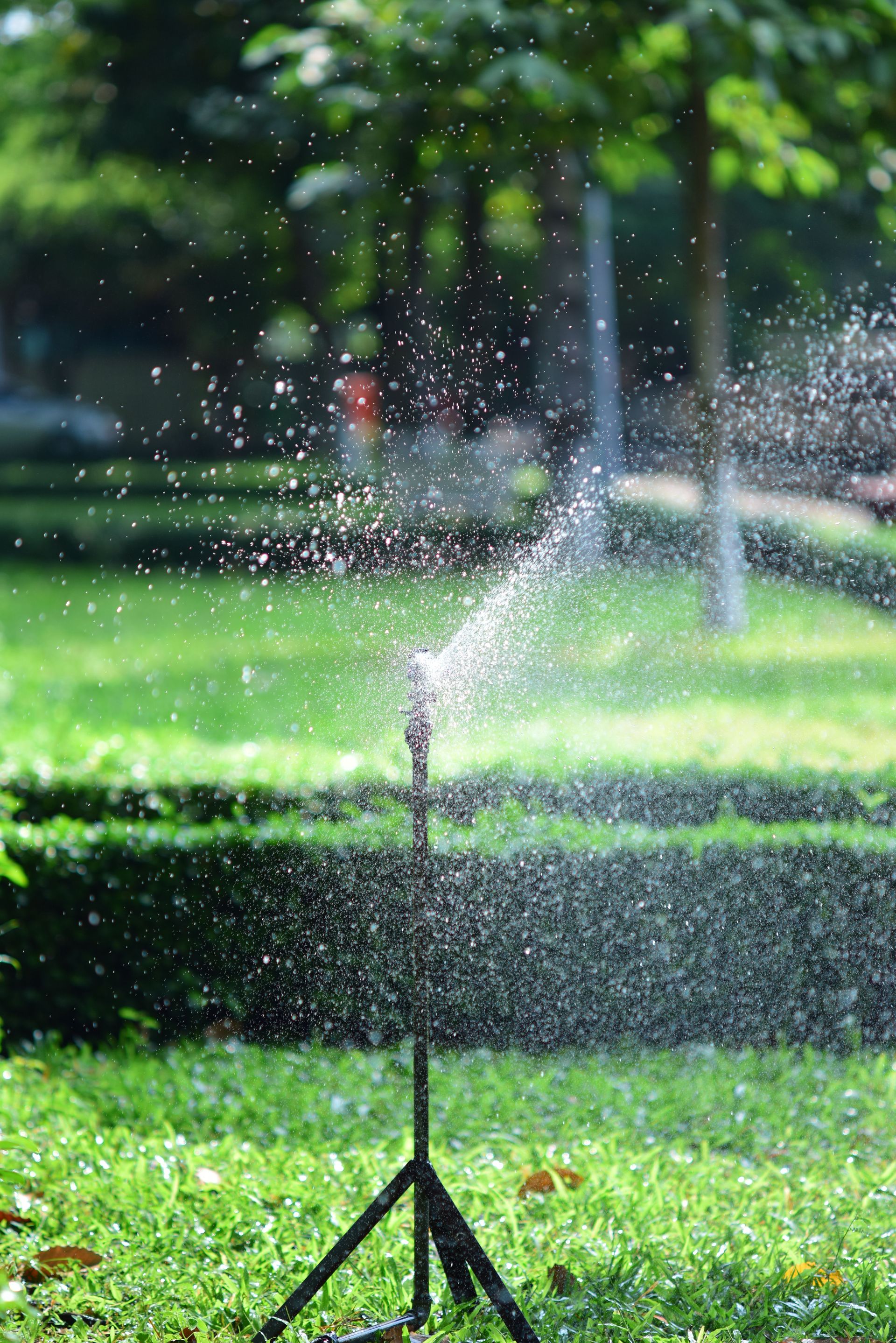 Refreshing water sprinkler in a vibrant green park setting, creating a cooling mist effect.