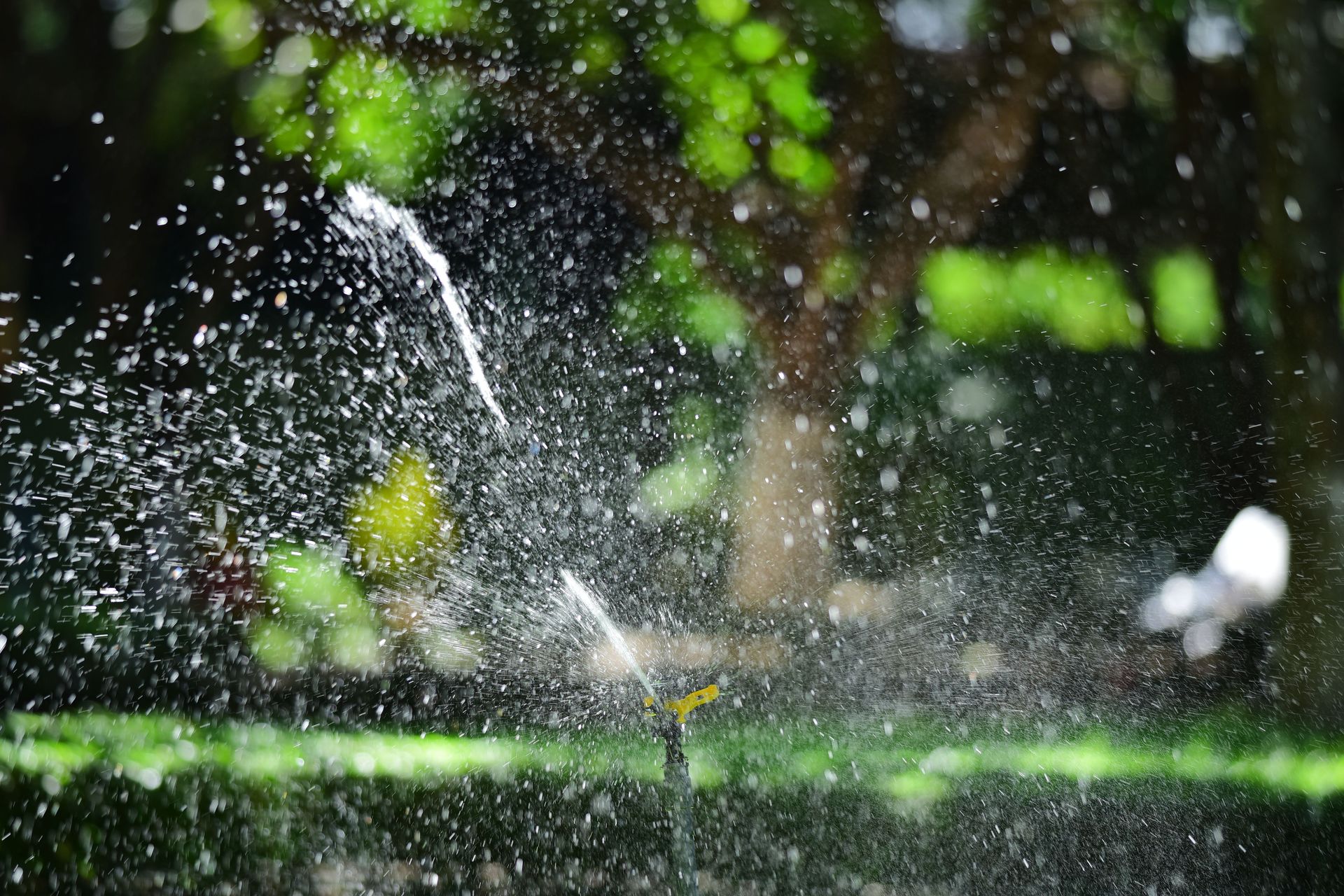 Close-up of a garden sprinkler watering a lush green lawn with sunlight creating sparkling water droplets.